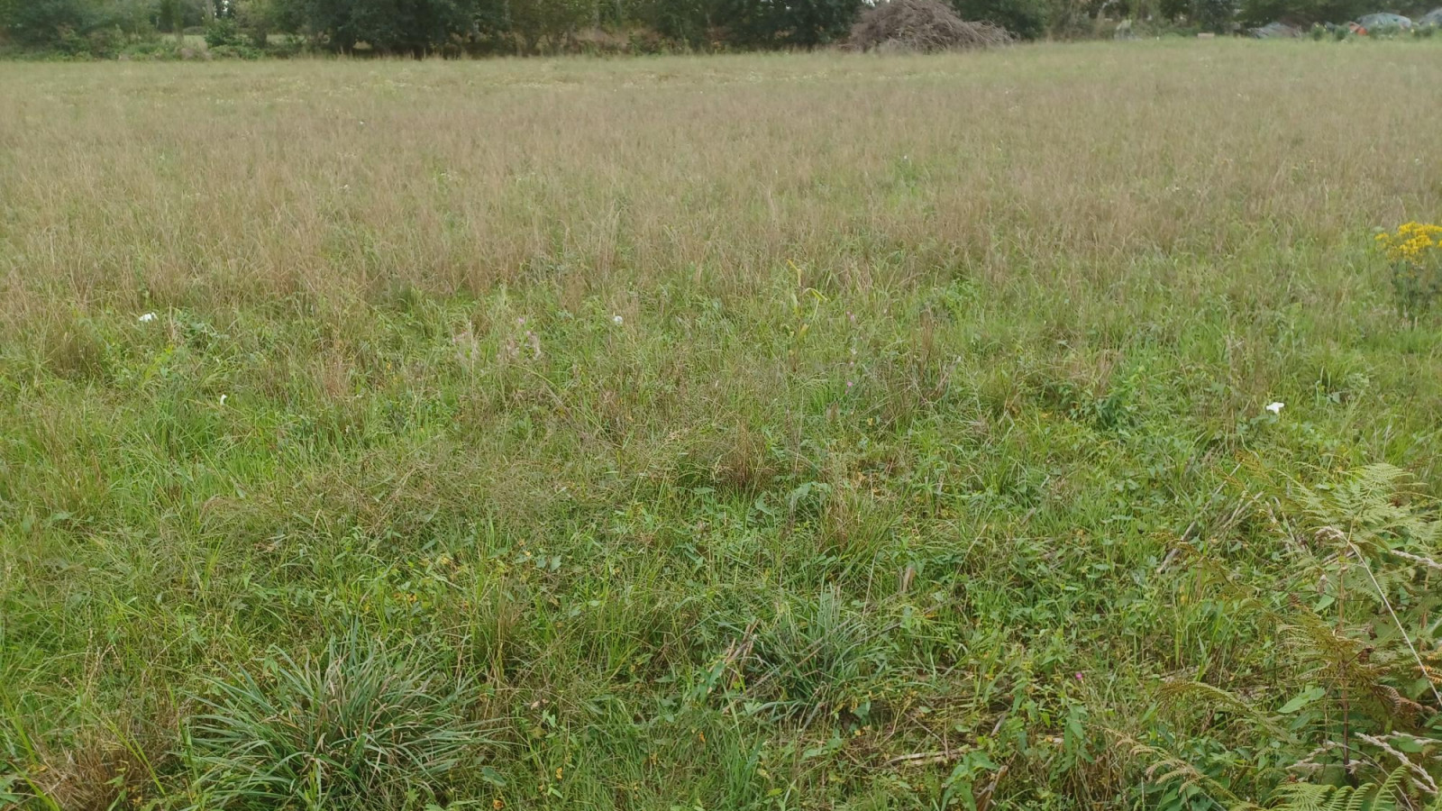 Terrain constructible de 409m2 à Le Petit-Fougeray