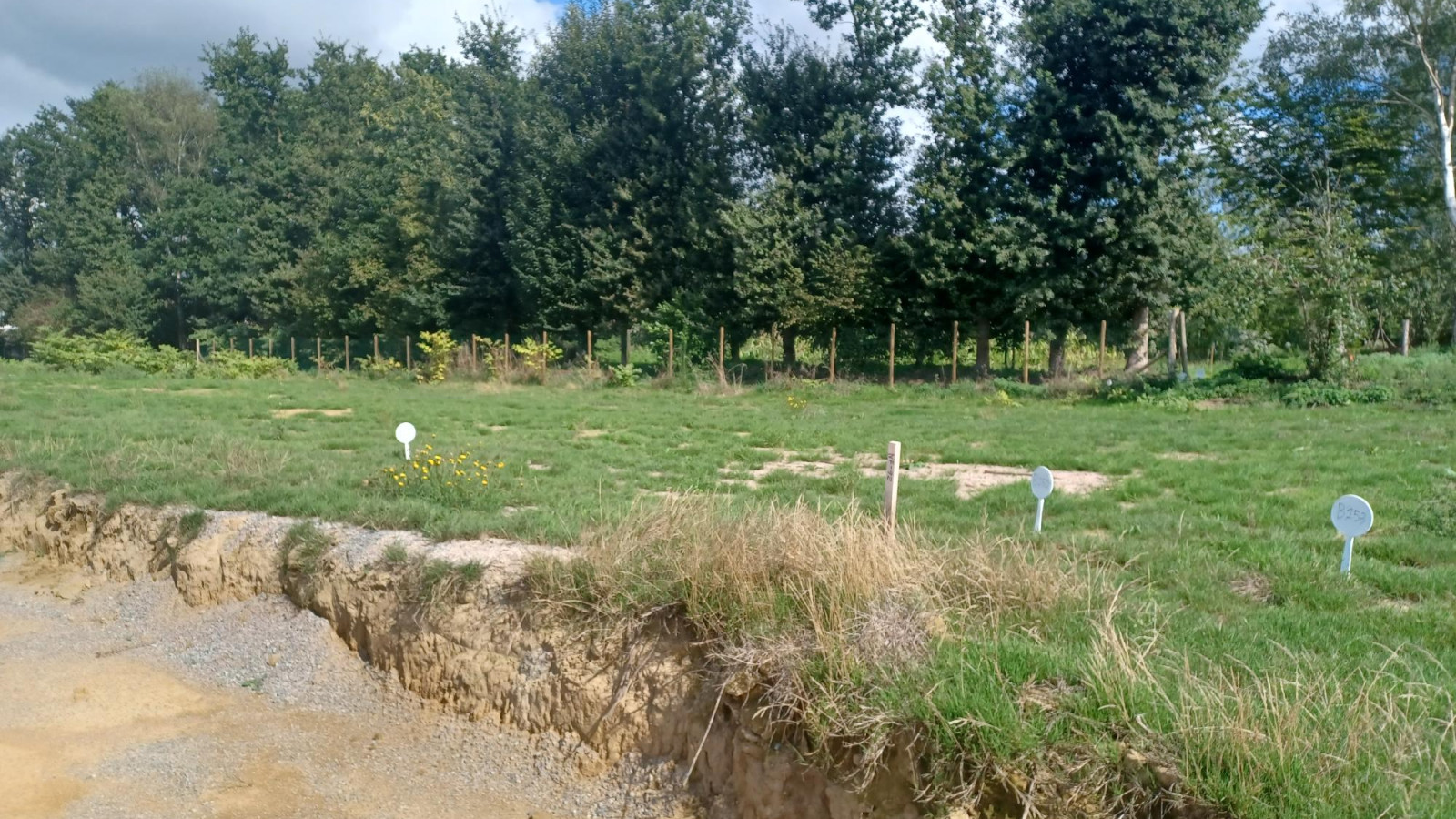 Terrain constructible de 600m2 à Louvigné-de-Bais