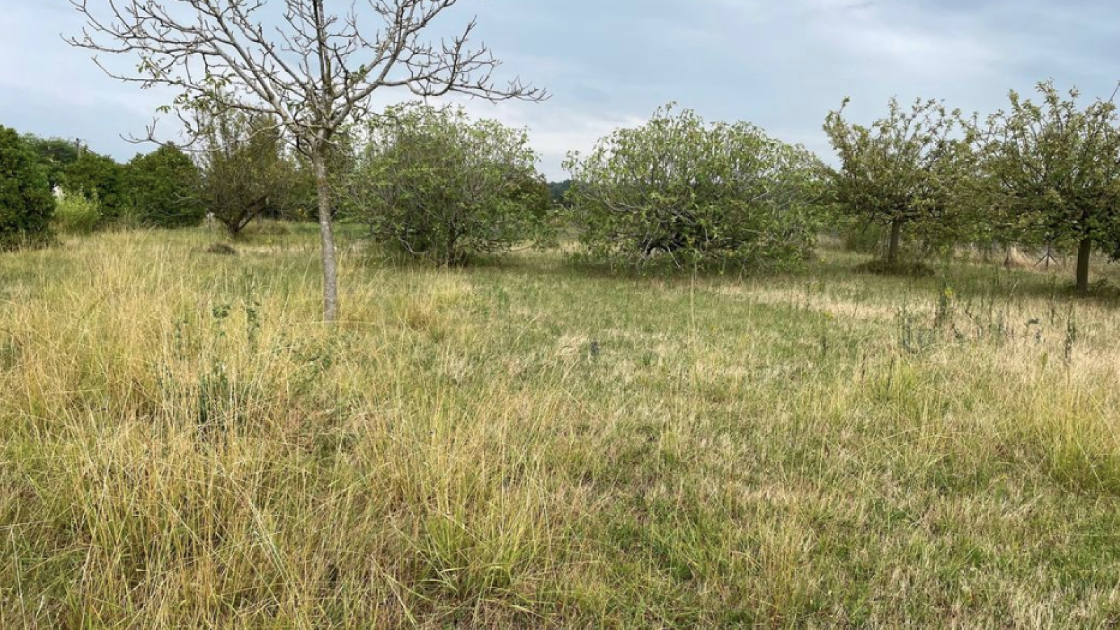 Terrain constructible de 895m2 à Épieds