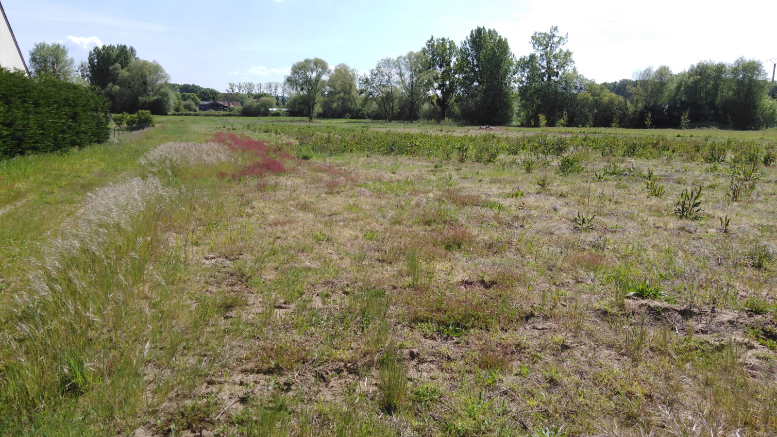 Terrain constructible de 520m2 à Bellevigne-les-Châteaux