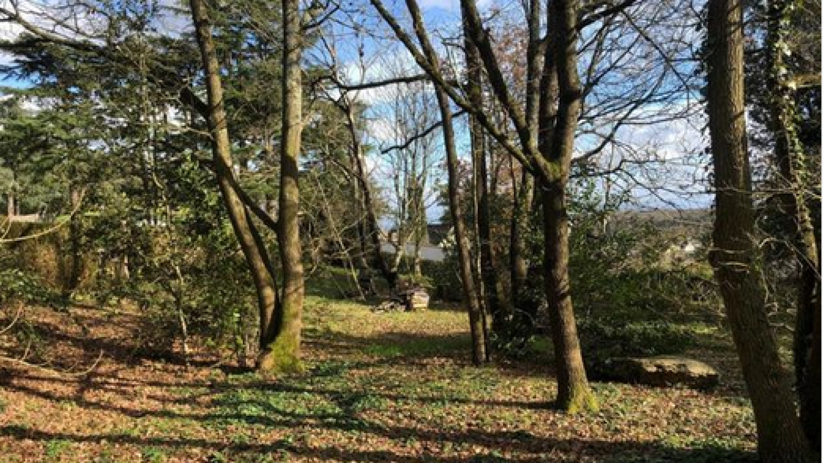 Terrain constructible de 421m2 à Saumur