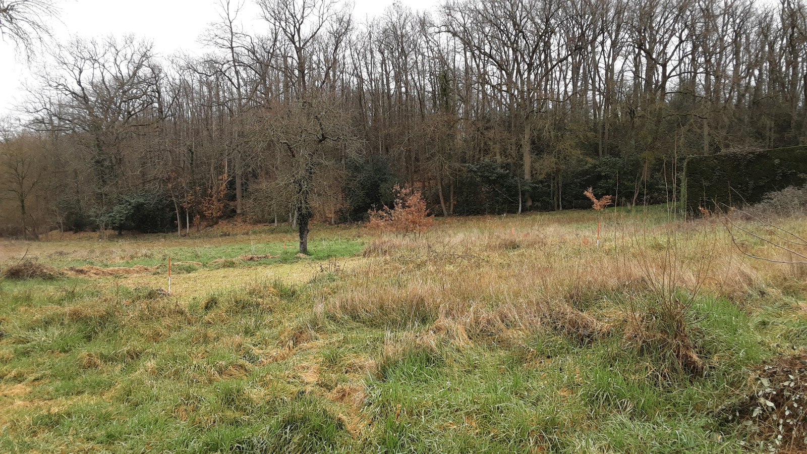 Terrain constructible de 3000m2 à Saumur