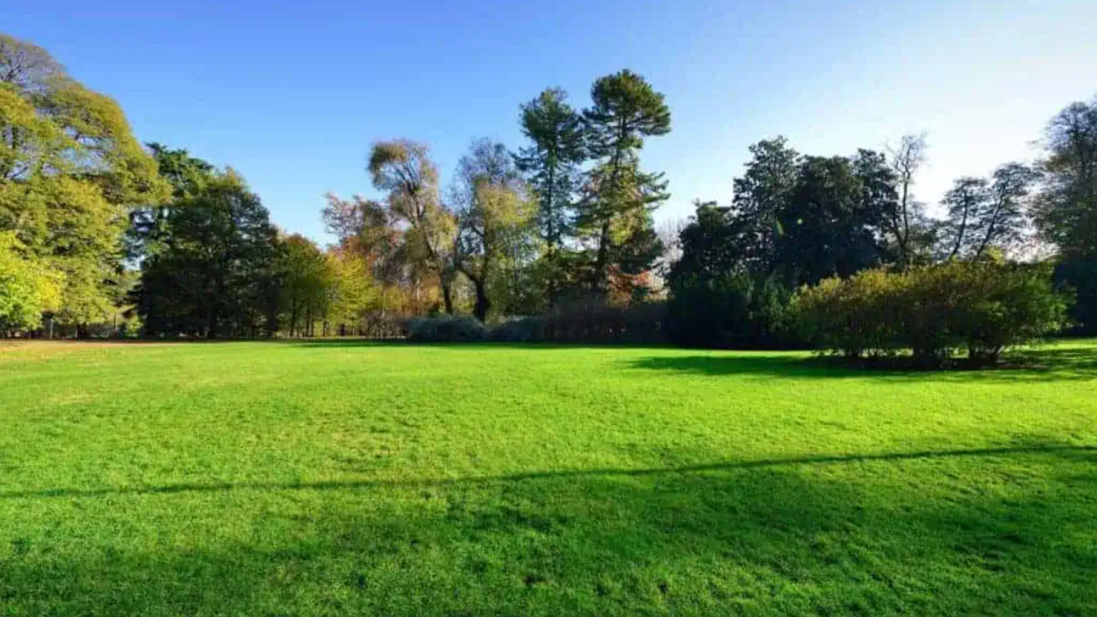 Terrain constructible de 650m2 à Ayguemorte-les-Graves