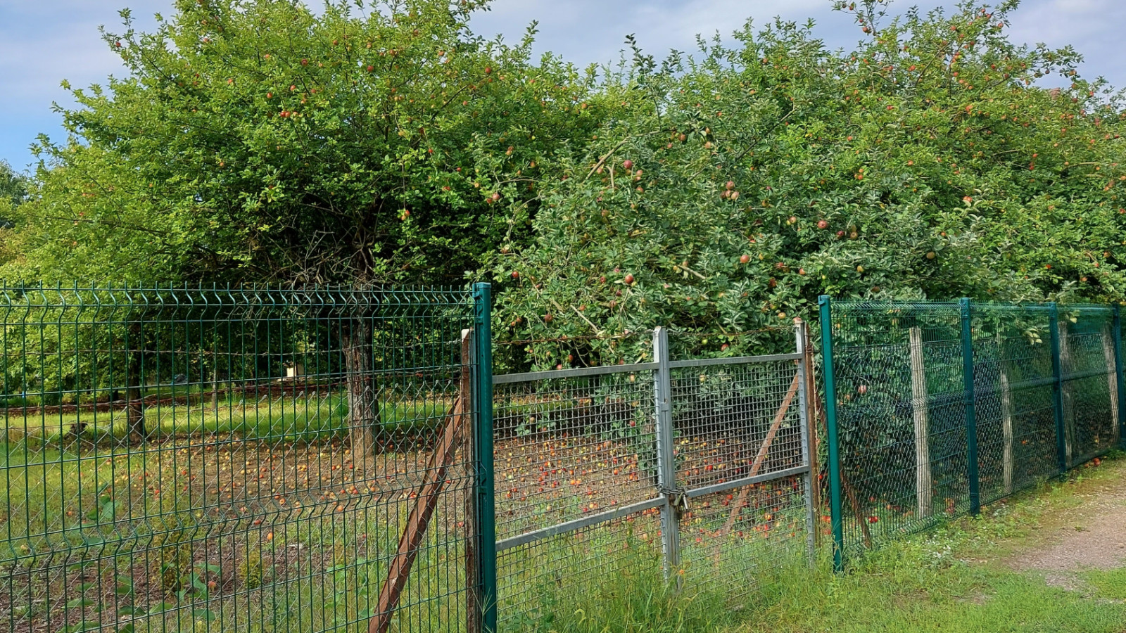 Terrain constructible de 770m2 à Auxerre