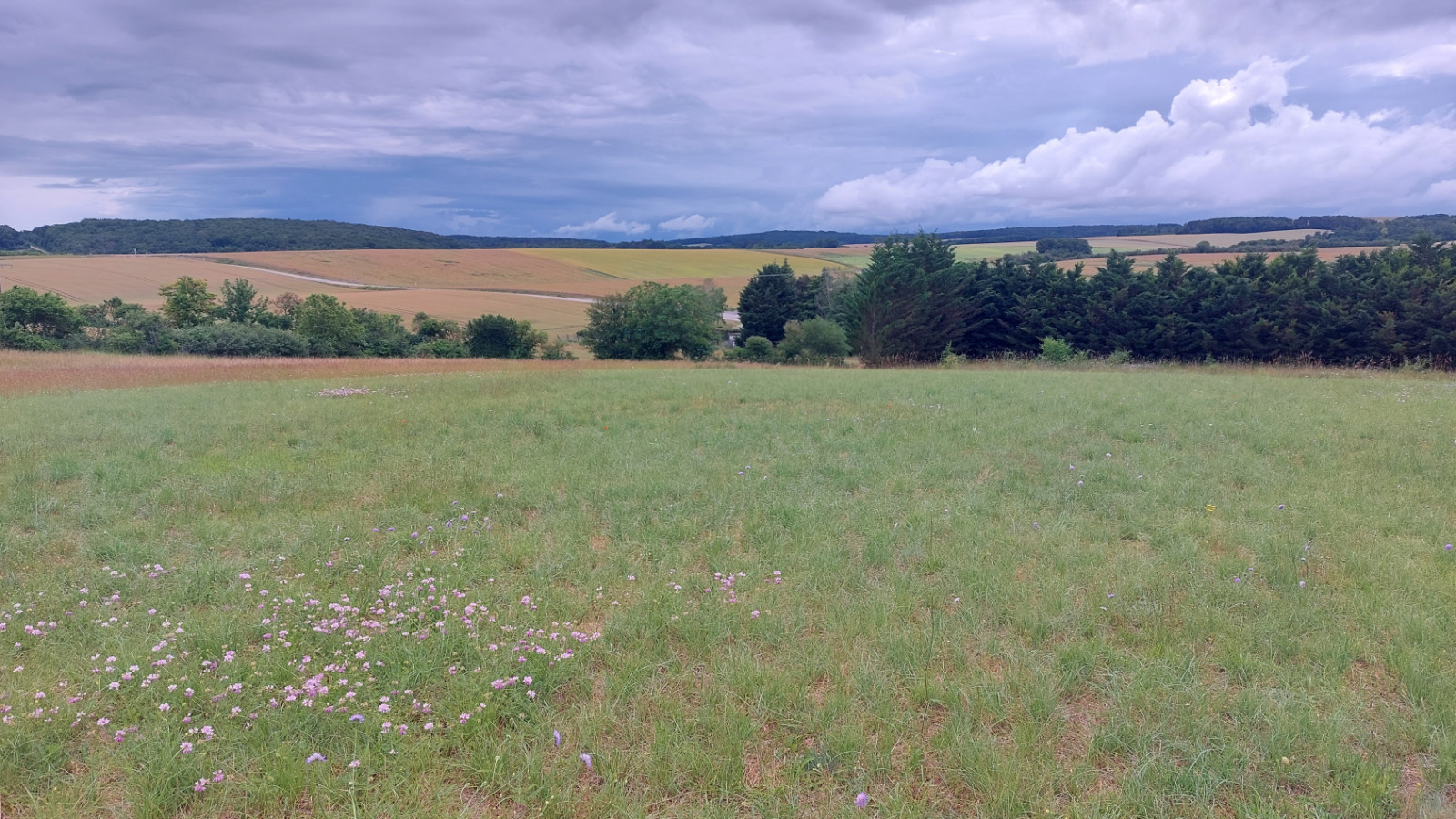 Terrain constructible de 1516m2 à Courson-les-Carrières