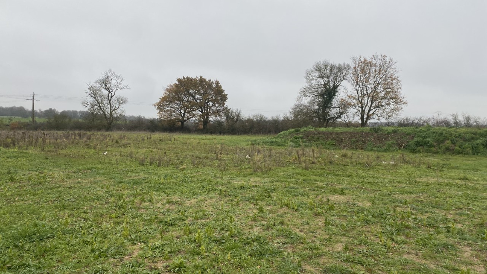 Terrain constructible de 384m2 à Champtocé-sur-Loire