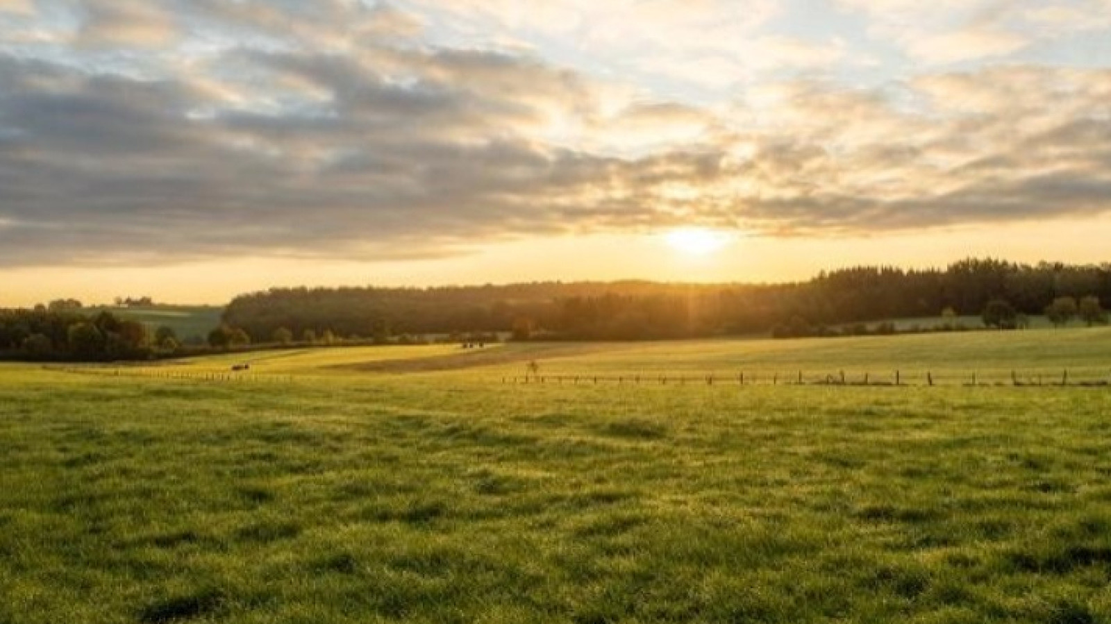 Terrain constructible de 670m2 à Saint-Nolff