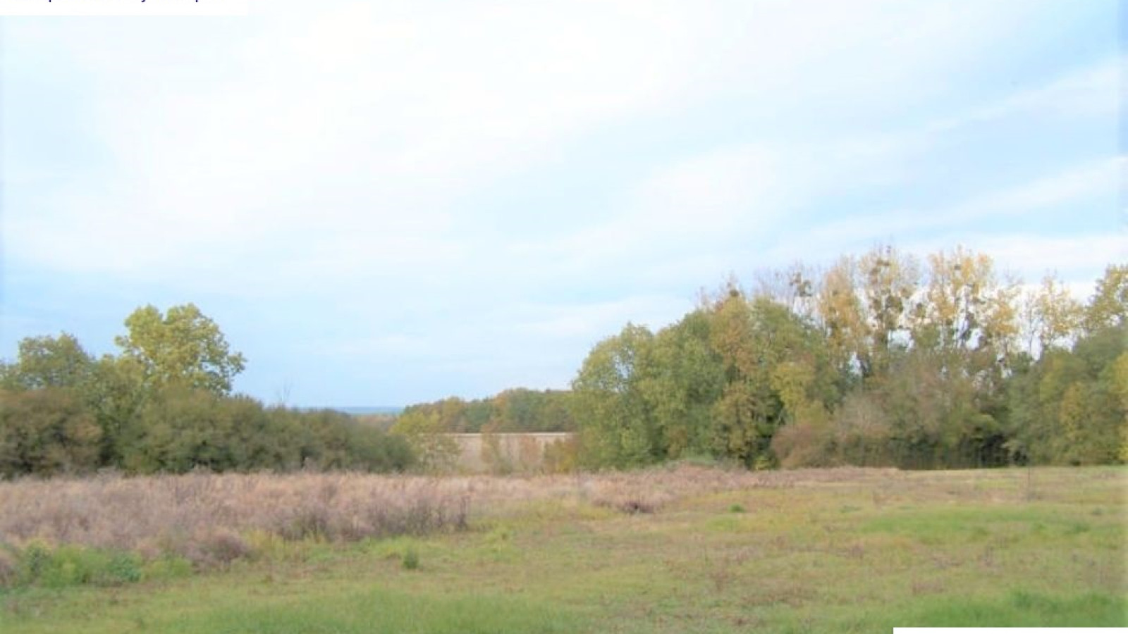 Terrain constructible de 1000m2 à Appoigny