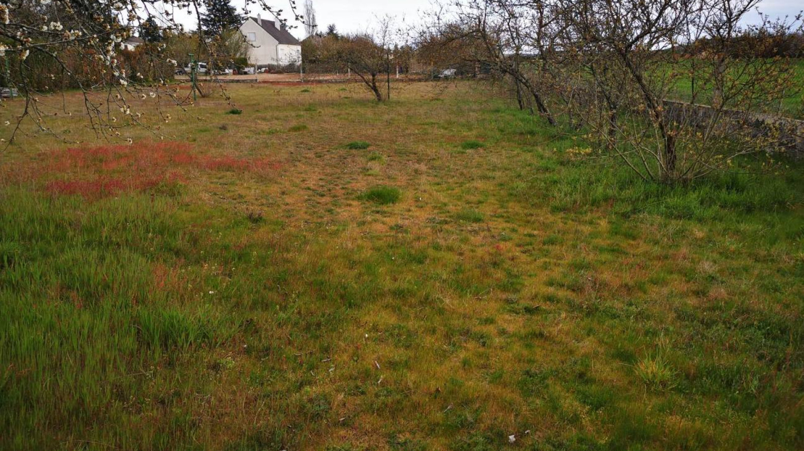 Terrain constructible de 400m2 à Loches