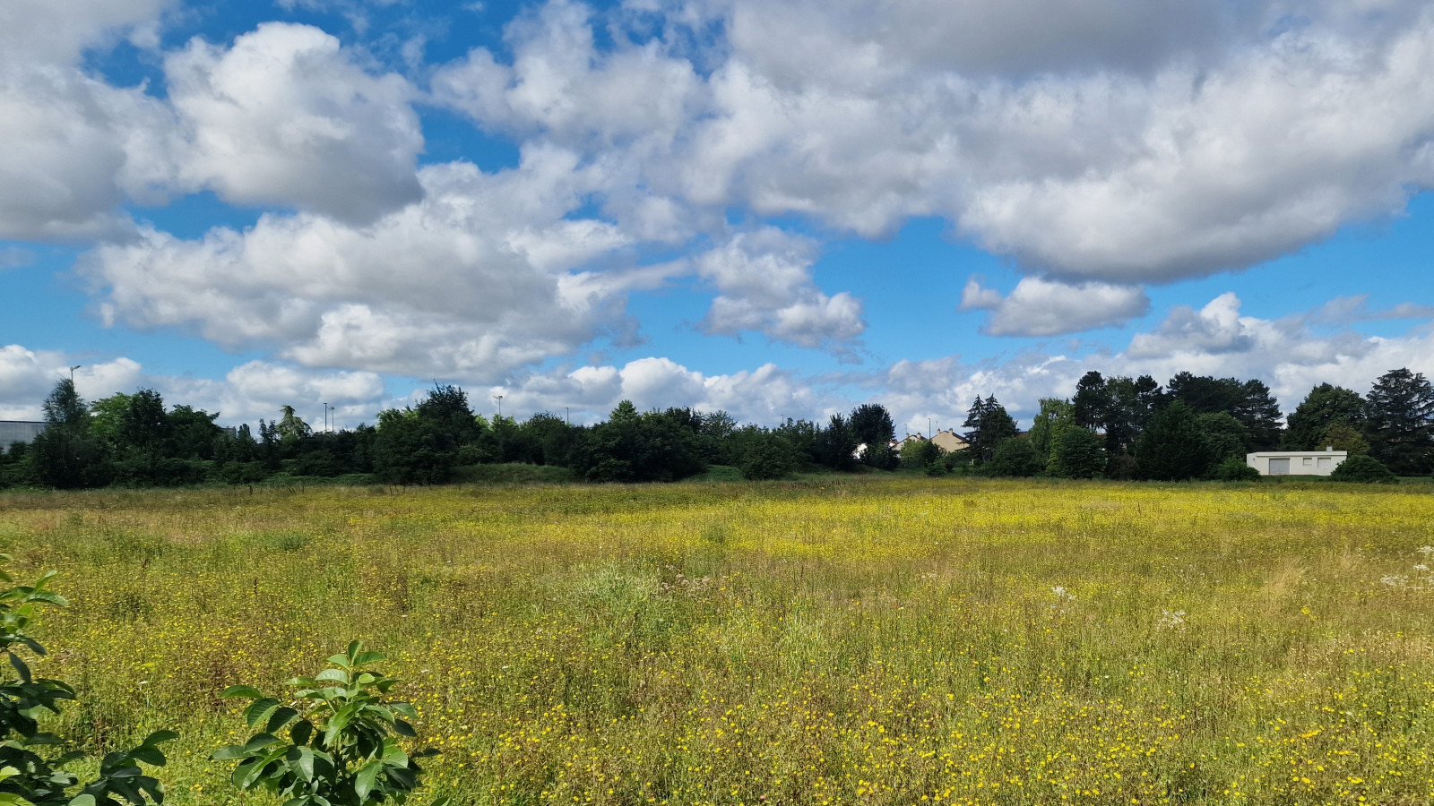 Terrain constructible de 500m2 à Saint-Apollinaire