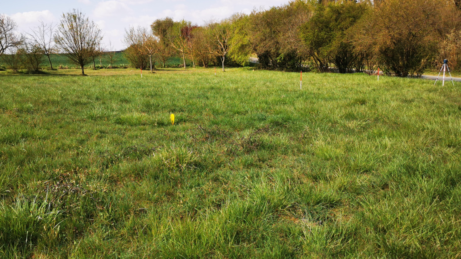 Terrain constructible de 570m2 à Descartes