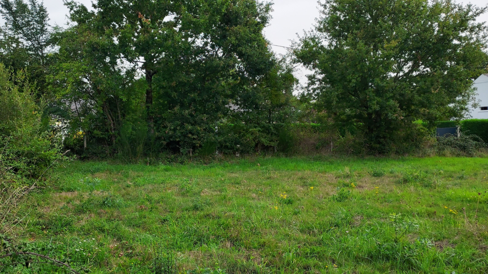 Terrain constructible de 696m2 à Saint-Gildas-des-Bois