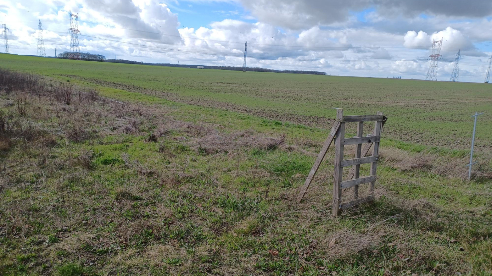 Terrain constructible de 508m2 à La Chapelle-Saint-Mesmin