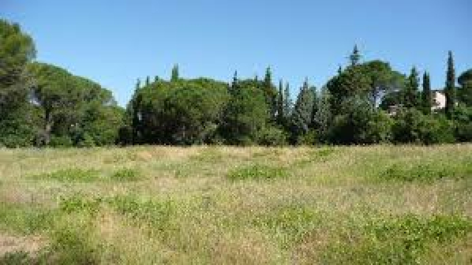 Terrain constructible de 630m2 à Azay-le-Rideau