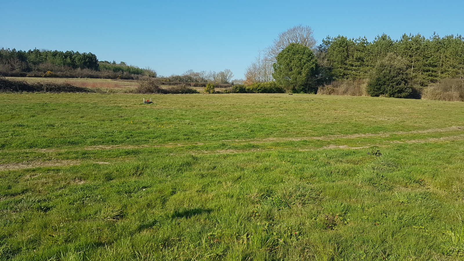 Terrain constructible de 305m2 à La Haie-Fouassière