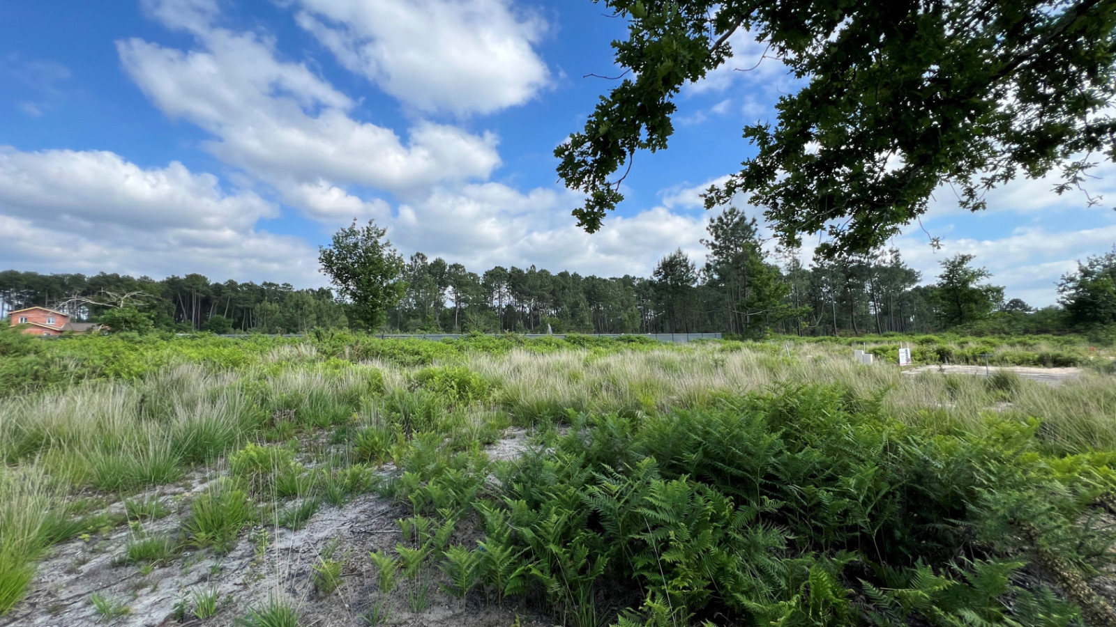 Terrain constructible de 1700m2 à Bazas