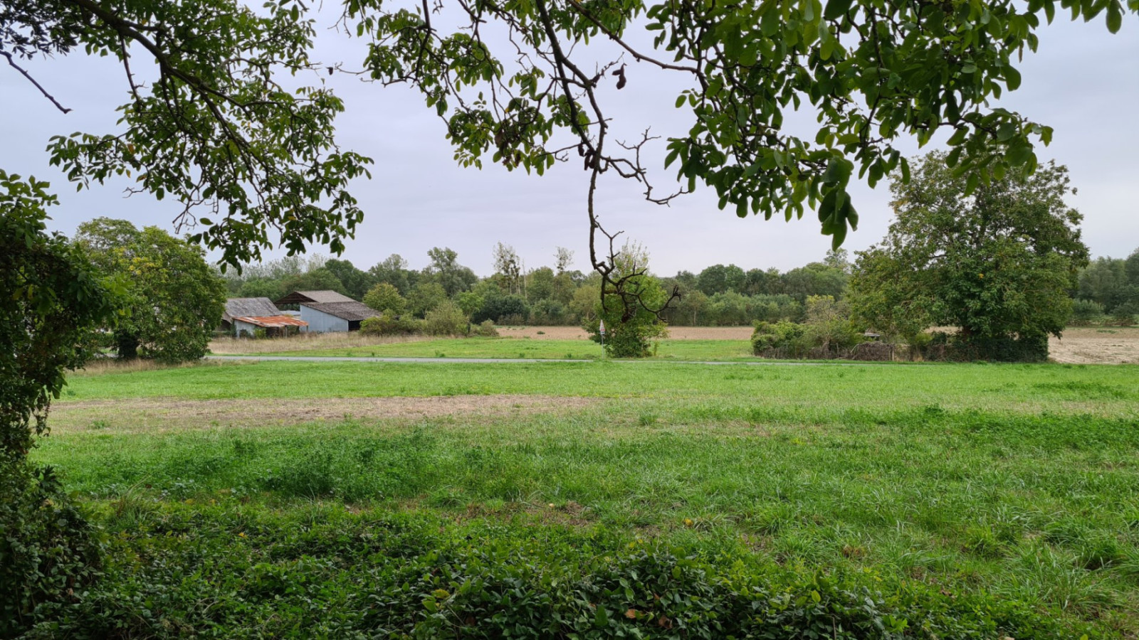 Terrain constructible de 1200m2 à Chinon