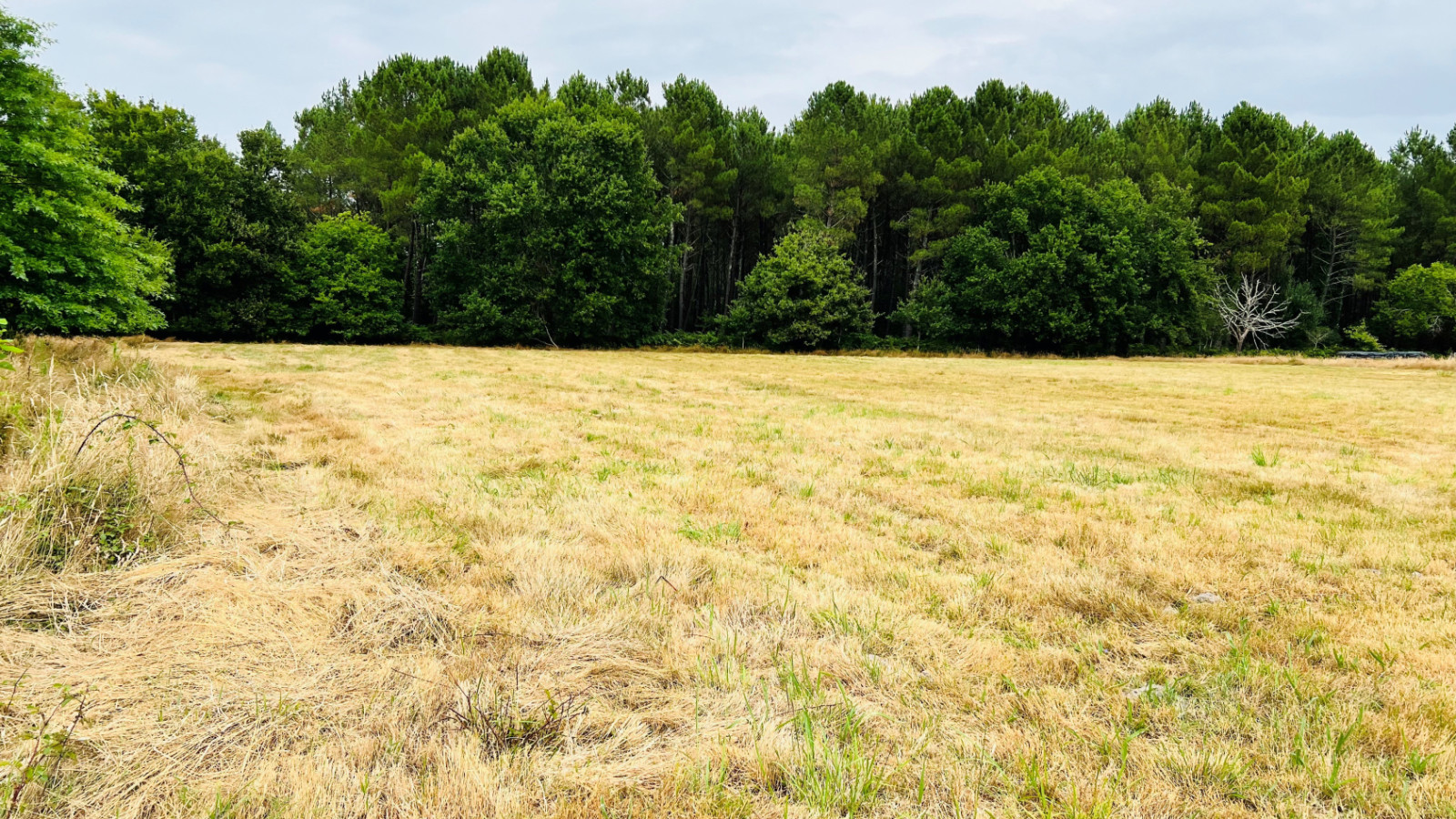 Terrain constructible de 647m2 à Aureilhan