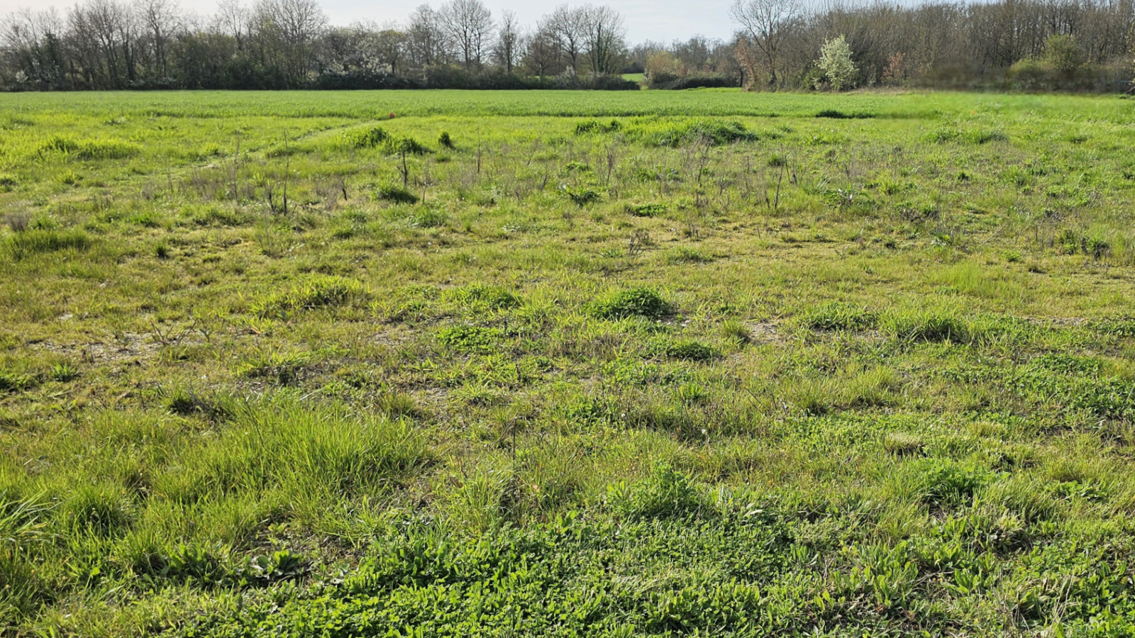 Terrain constructible de 850m2 à Chédigny