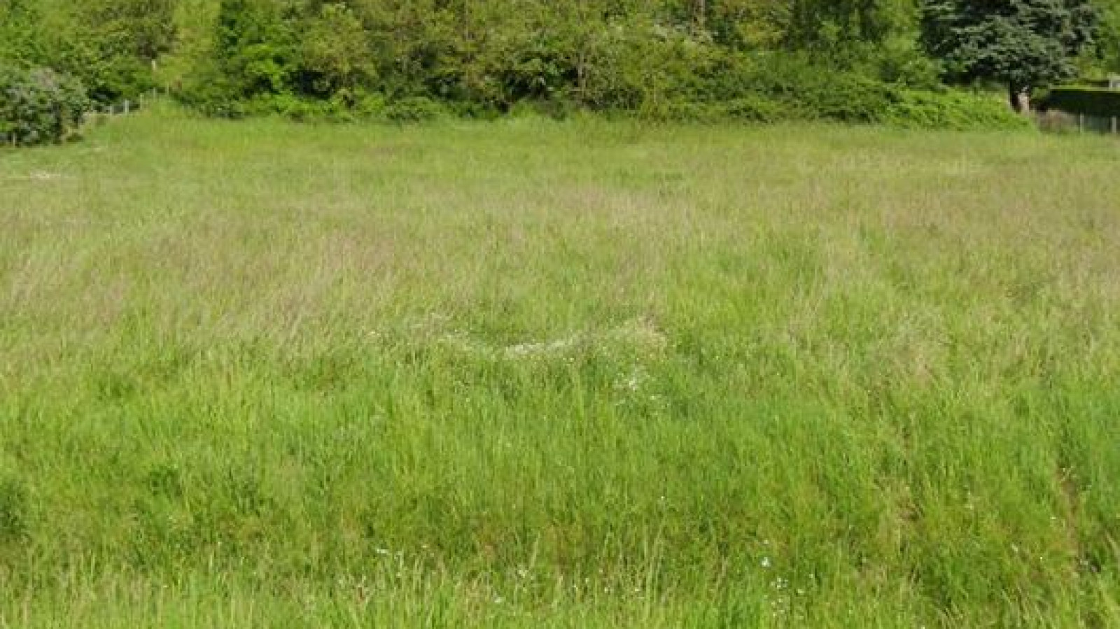 Terrain constructible de 889m2 à Saint-Denis-sur-Loire