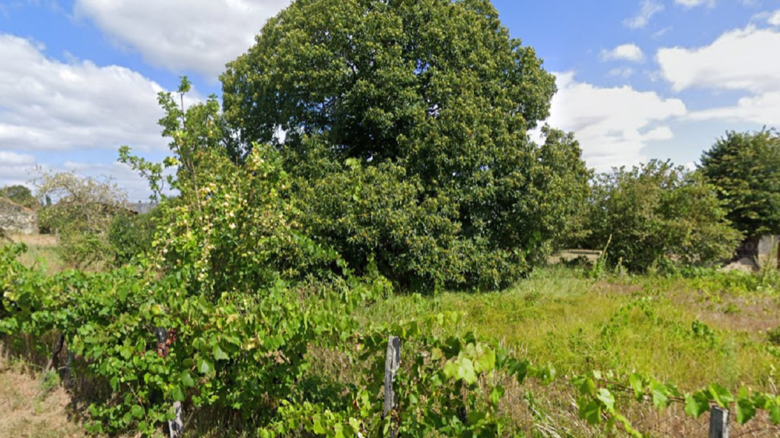 Terrain constructible de 686m2 à Cernay