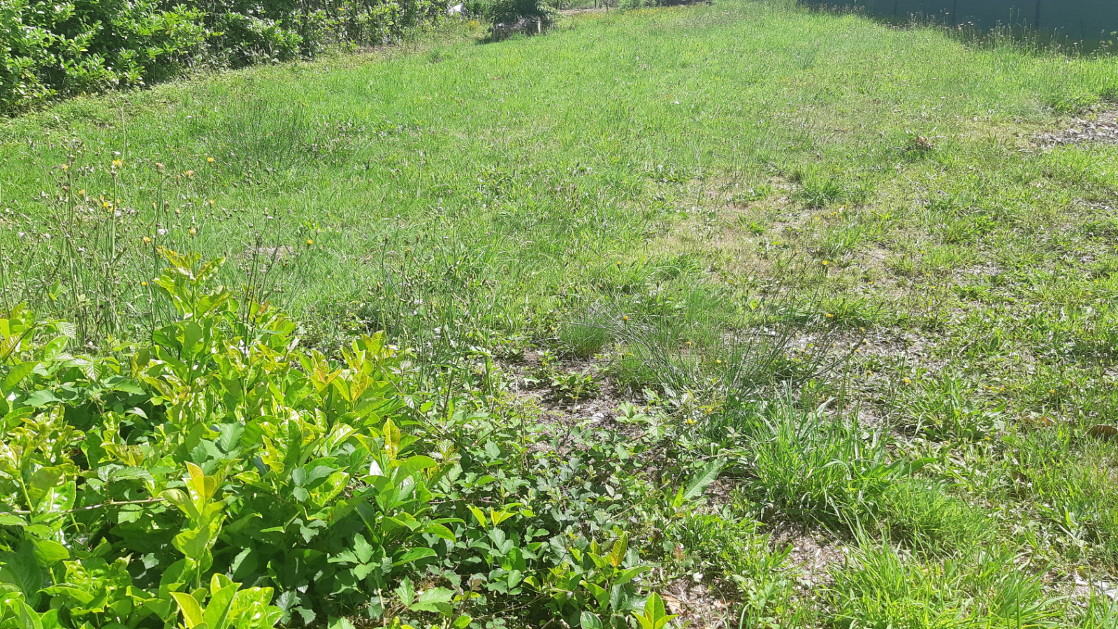 Terrain constructible de 450m2 à La Chapelle-des-Marais