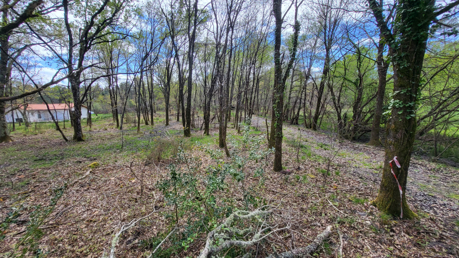 Terrain constructible de 2313m2 à Moustey