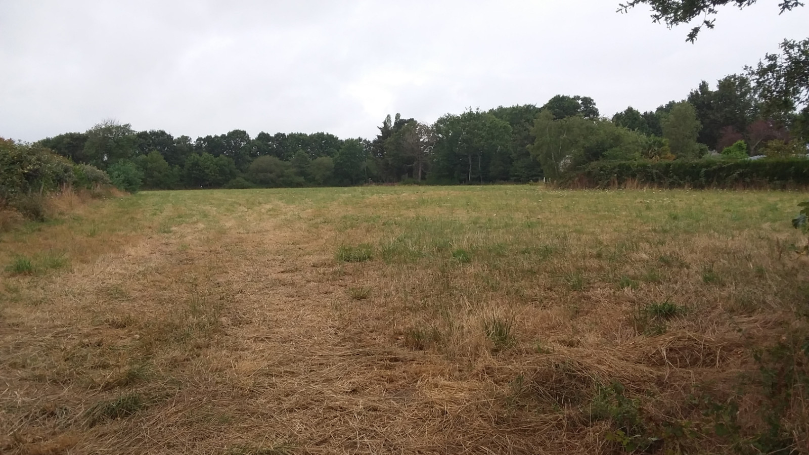 Terrain constructible de 475m2 à La Chapelle-Launay