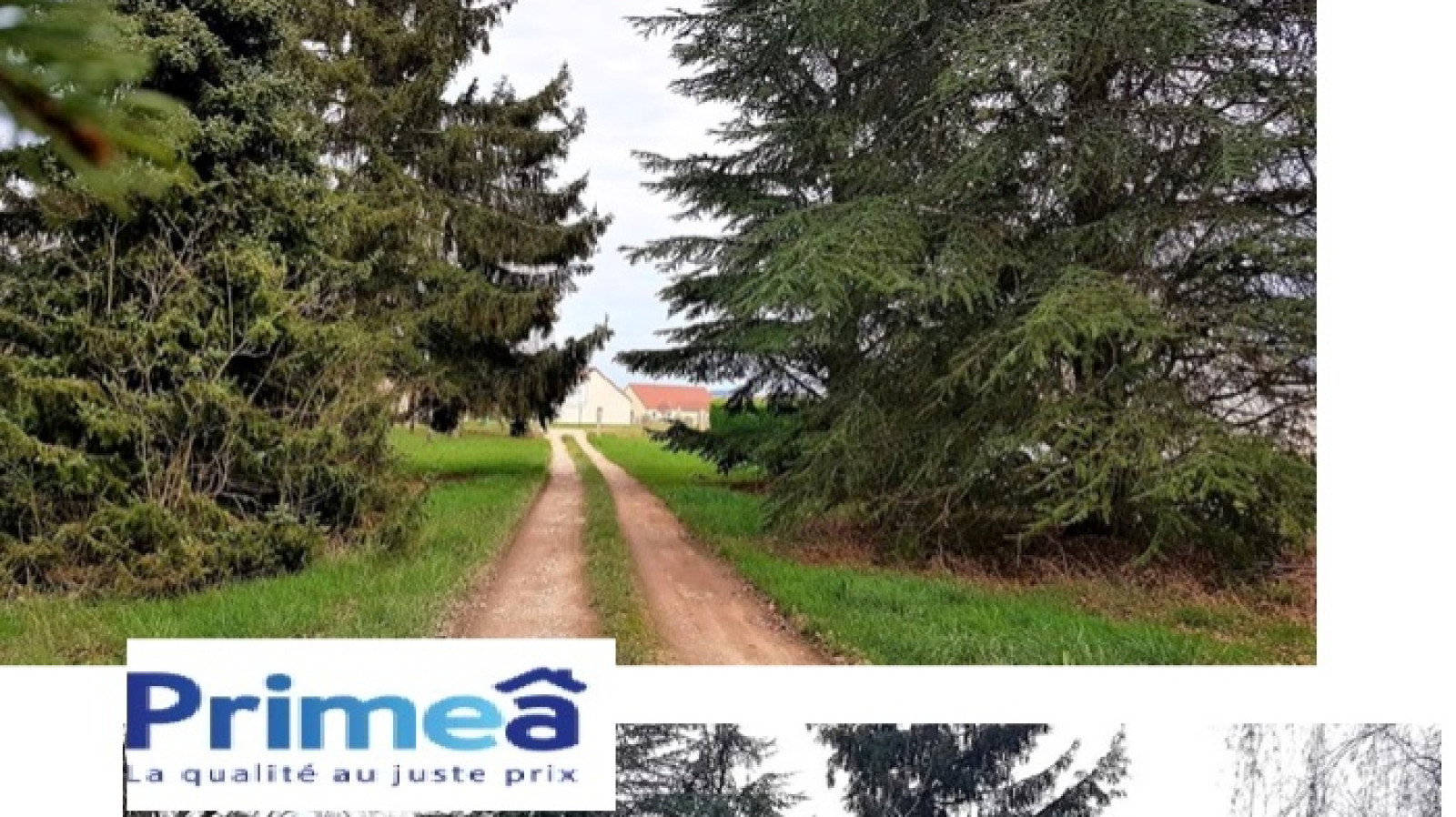 Terrain constructible de 750m2 à Champs-sur-Yonne