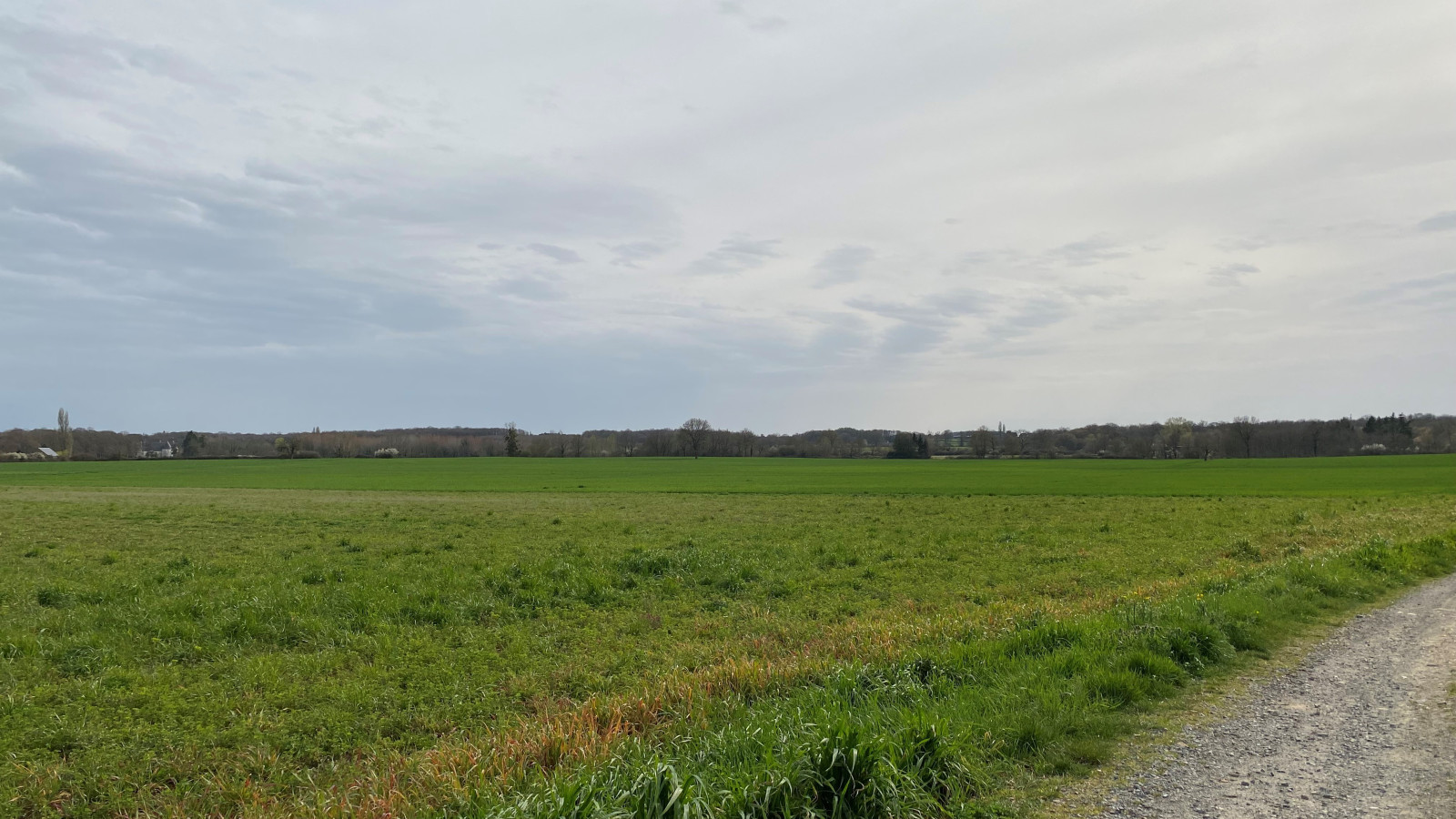 Terrain constructible de 536m2 à Sonzay