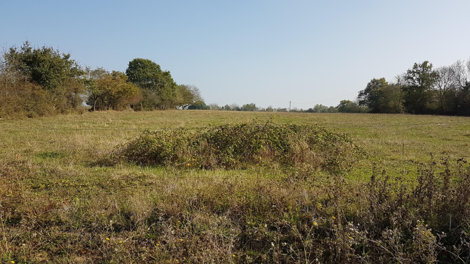 Terrain constructible de 360m2 à Mésanger