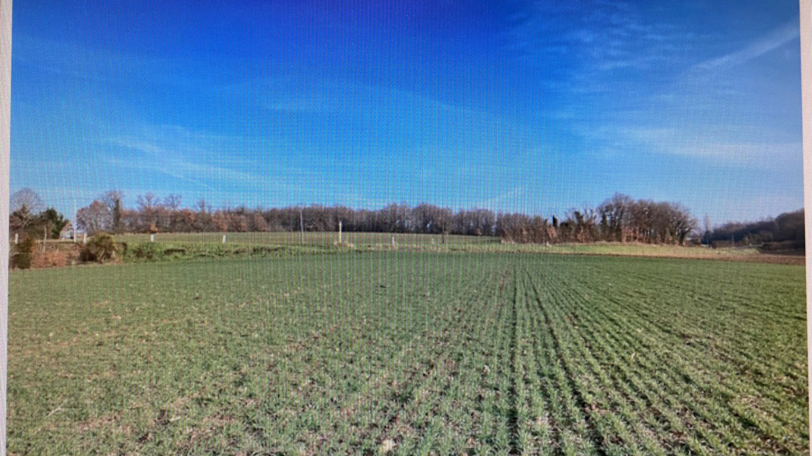 Terrain constructible de 447m2 à Sainte-Maure-de-Touraine