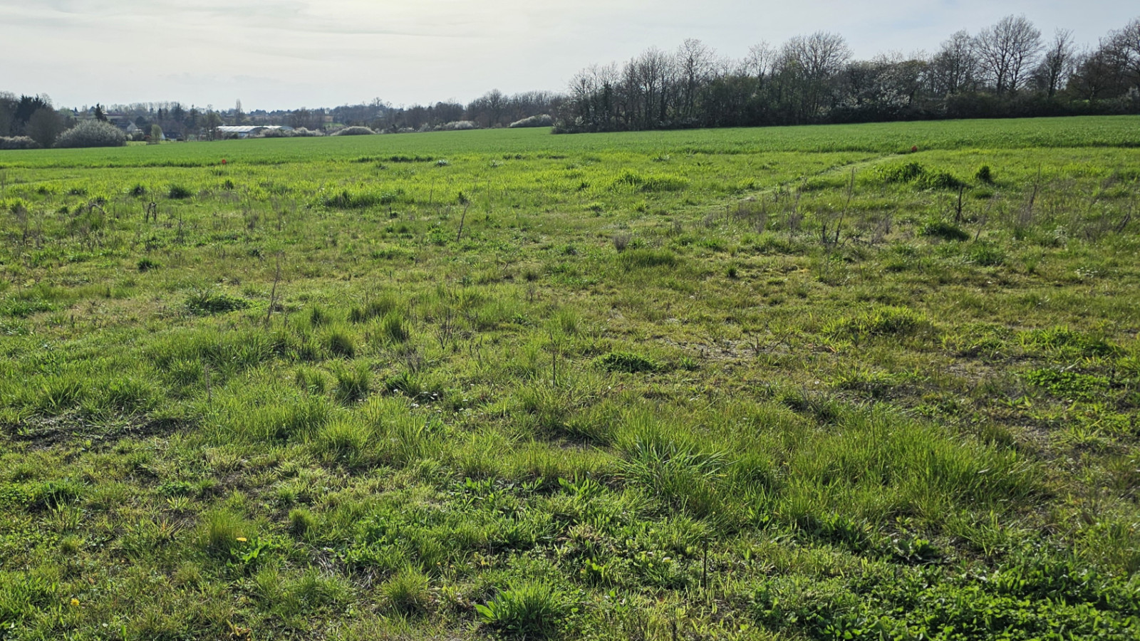 Terrain constructible de 406m2 à Sainte-Maure-de-Touraine