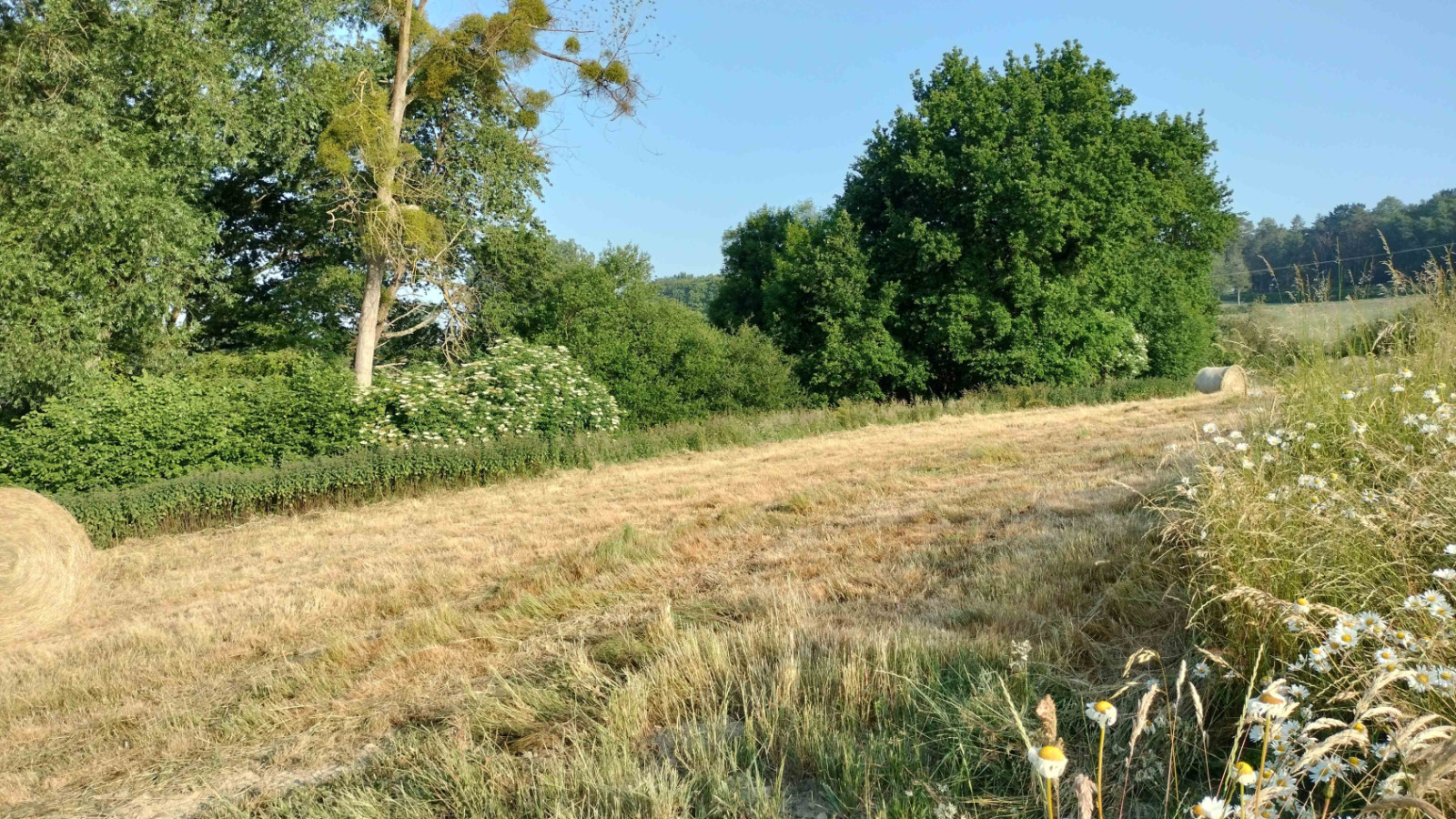 Terrain constructible de 325m2 à Livré-sur-Changeon