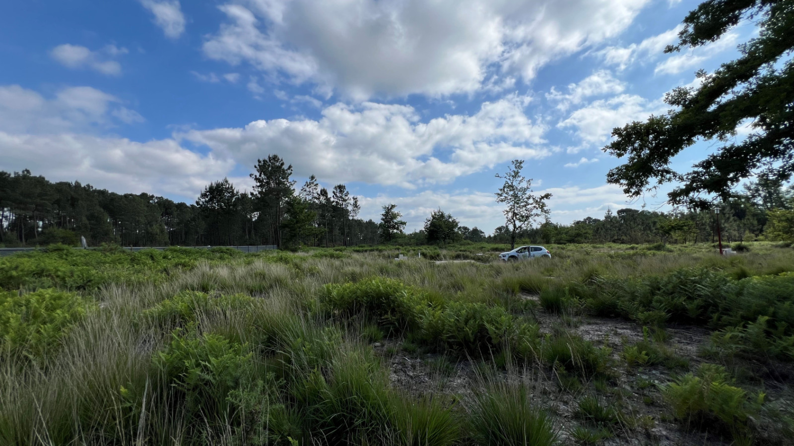 Terrain constructible de 2450m2 à Louchats