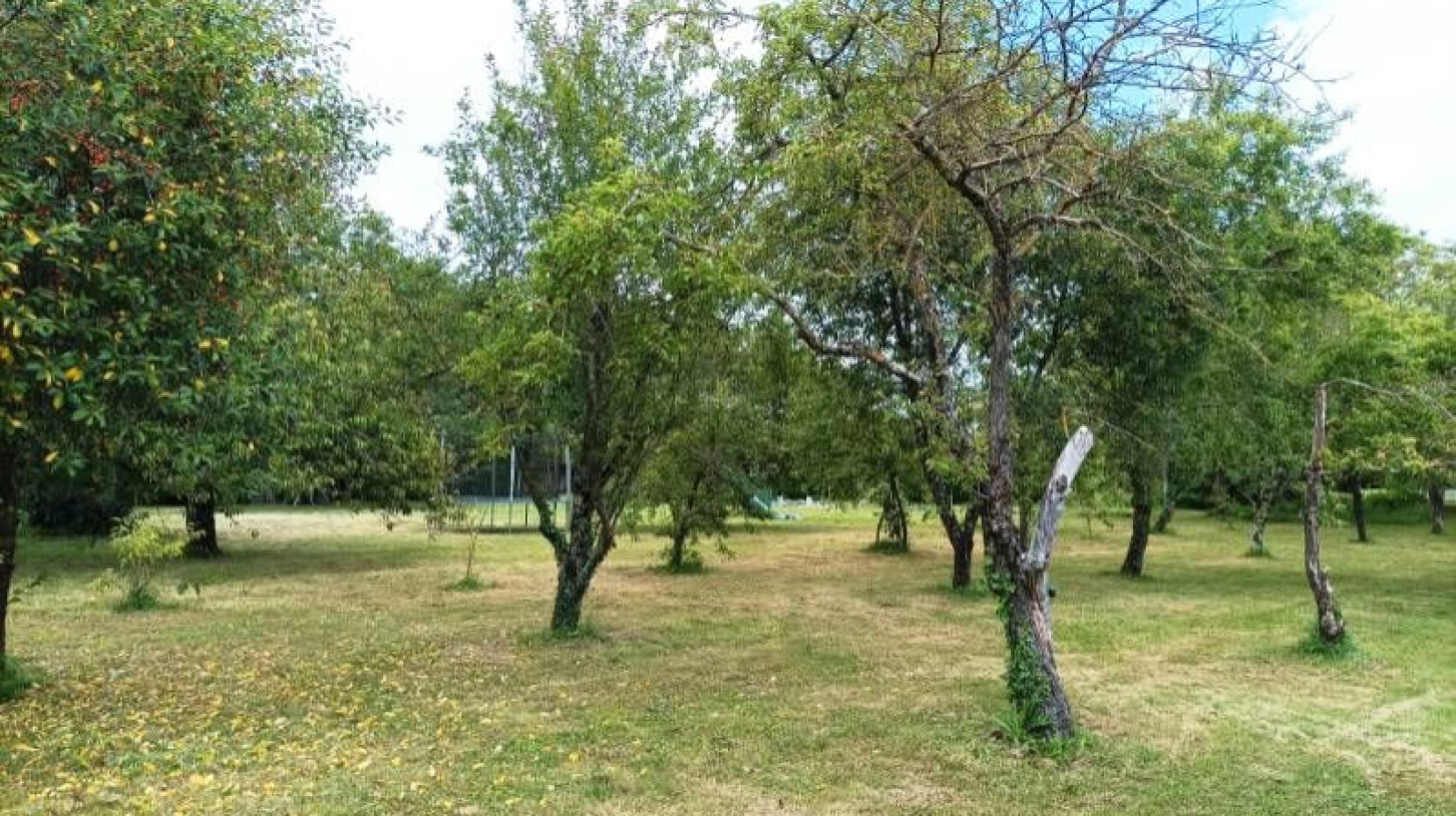 Terrain constructible de 2650m2 à Châtellerault