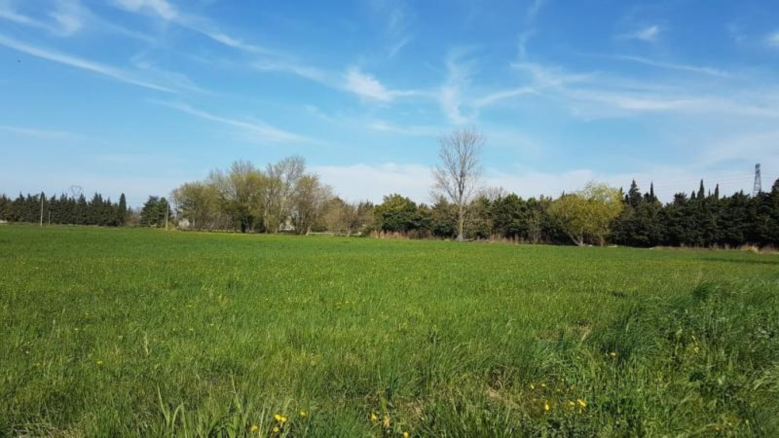 Terrain constructible de 1600m2 à Mont-près-Chambord